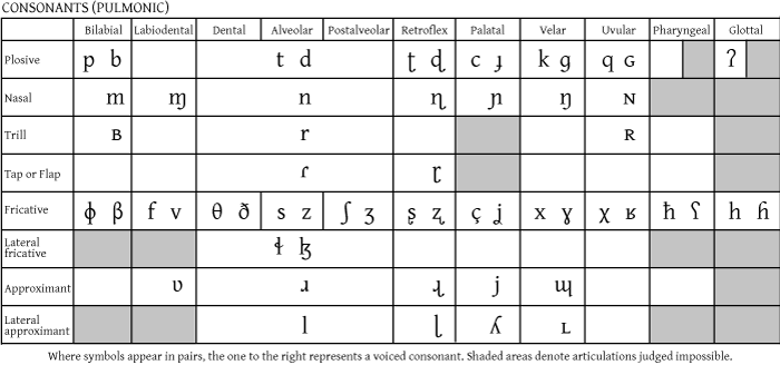 Linguistics Phonetics Chart